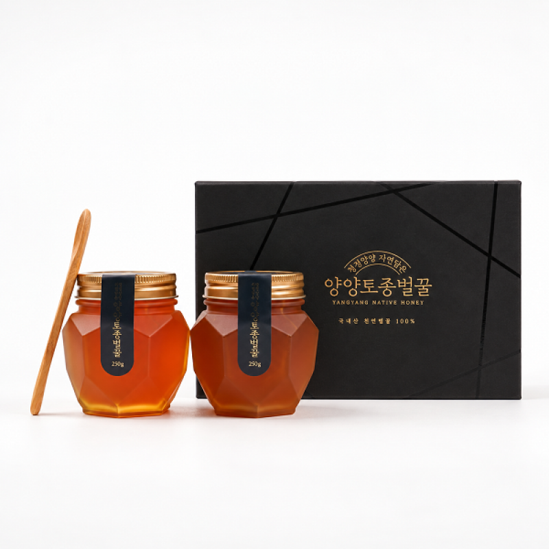 청정 양양 자연 담은 양양토종벌꿀 500g(250g 2개 세트)